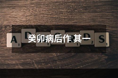 癸卯病后作 其一