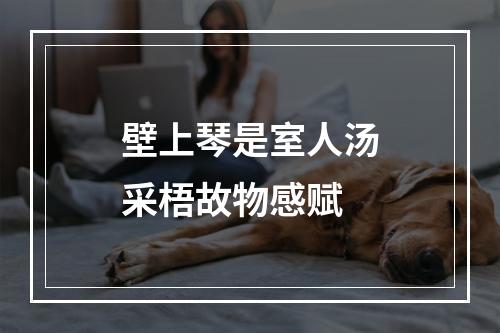 壁上琴是室人汤采梧故物感赋