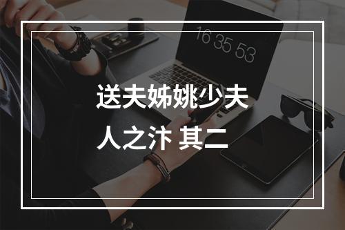 送夫姊姚少夫人之汴 其二