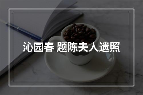 沁园春 题陈夫人遗照