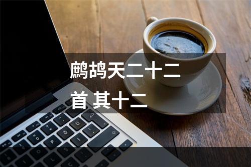 鹧鸪天二十二首 其十二