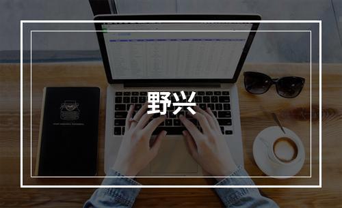 野兴