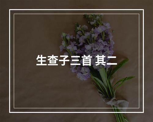 生查子三首 其二