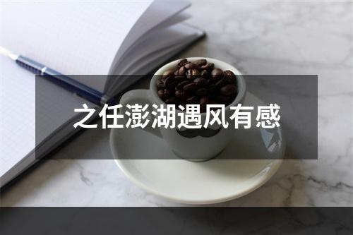 之任澎湖遇风有感