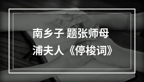南乡子 题张师母浦夫人《停梭词》