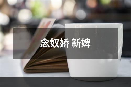 念奴娇 新婢