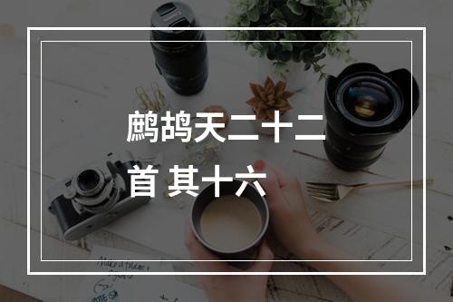 鹧鸪天二十二首 其十六