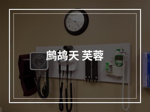 鹧鸪天 芙蓉