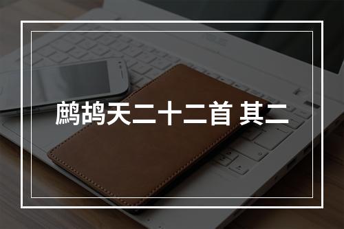 鹧鸪天二十二首 其二