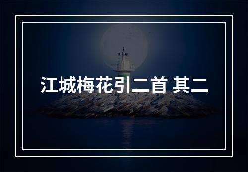 江城梅花引二首 其二
