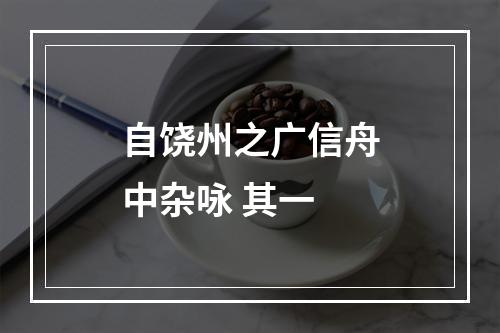 自饶州之广信舟中杂咏 其一