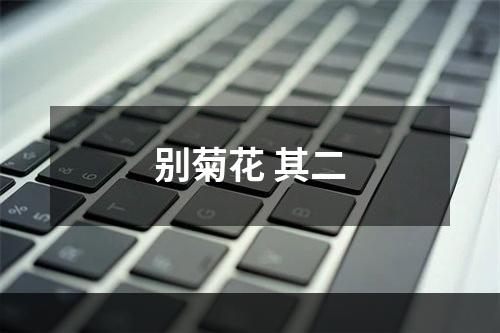别菊花 其二