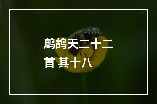 鹧鸪天二十二首 其十八