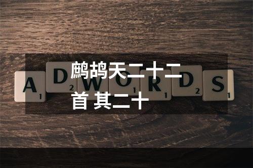 鹧鸪天二十二首 其二十