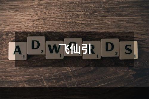 飞仙引