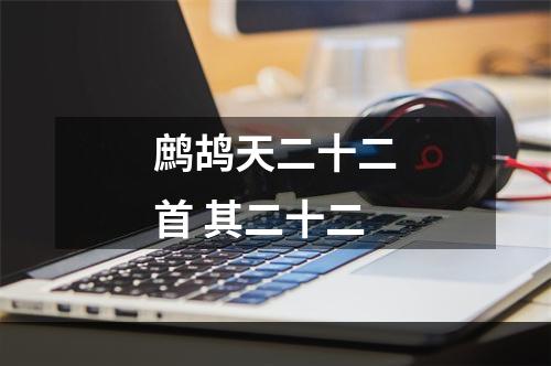 鹧鸪天二十二首 其二十二