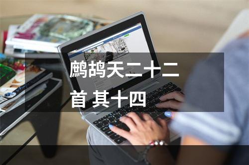 鹧鸪天二十二首 其十四