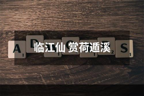 临江仙 赏荷遁溪