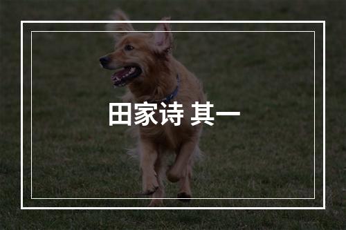 田家诗 其一