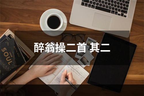 醉翁操二首 其二