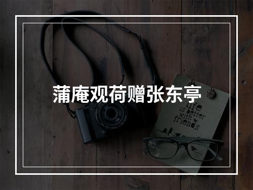 蒲庵观荷赠张东亭