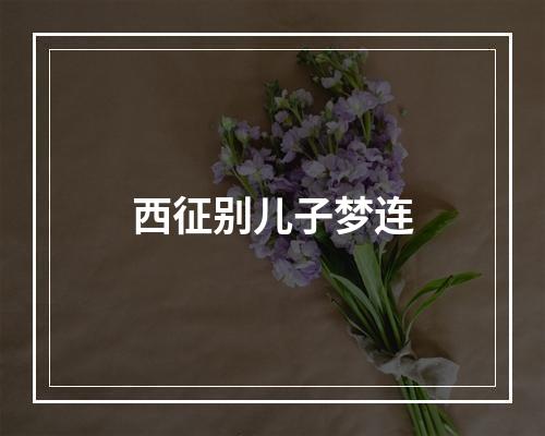 西征别儿子梦连