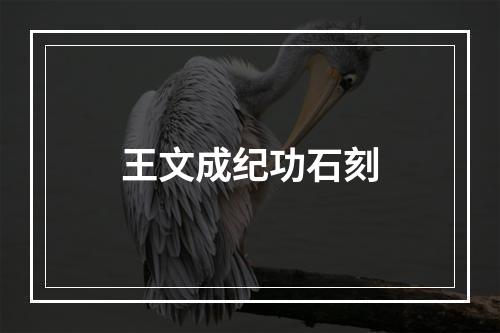 王文成纪功石刻