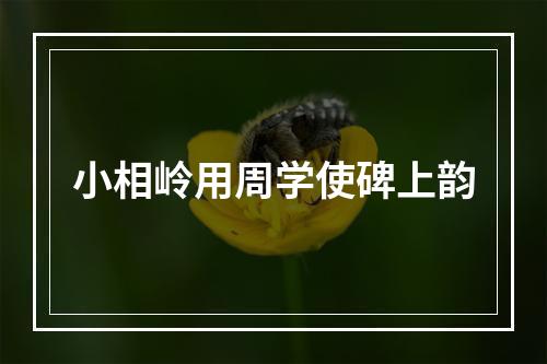 小相岭用周学使碑上韵