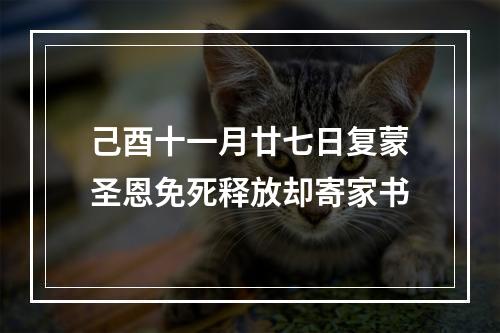 己酉十一月廿七日复蒙圣恩免死释放却寄家书