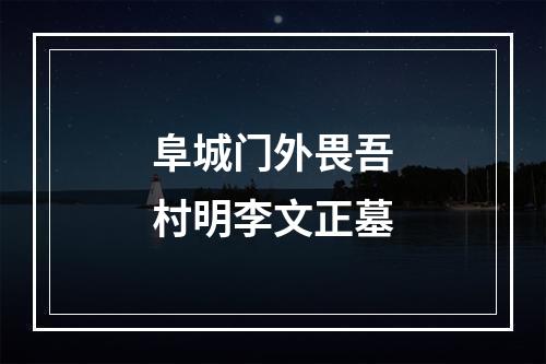 阜城门外畏吾村明李文正墓