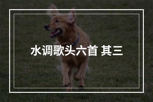 水调歌头六首 其三