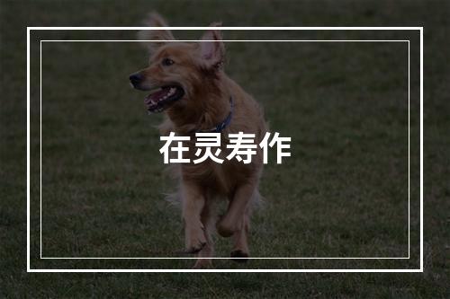 在灵寿作
