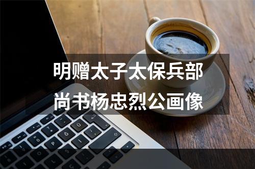 明赠太子太保兵部尚书杨忠烈公画像