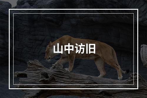 山中访旧