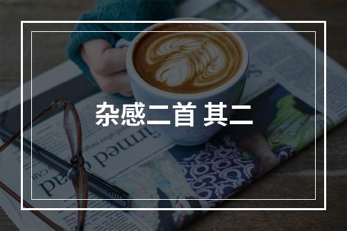 杂感二首 其二
