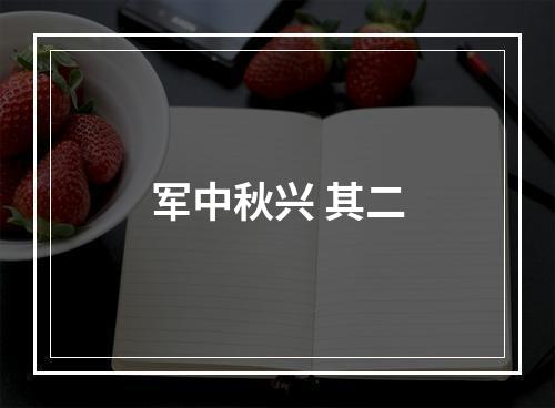 军中秋兴 其二