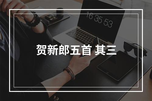 贺新郎五首 其三
