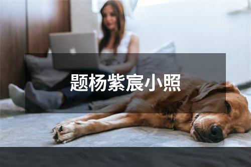 题杨紫宸小照