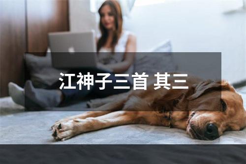 江神子三首 其三