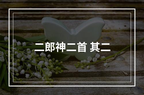二郎神二首 其二