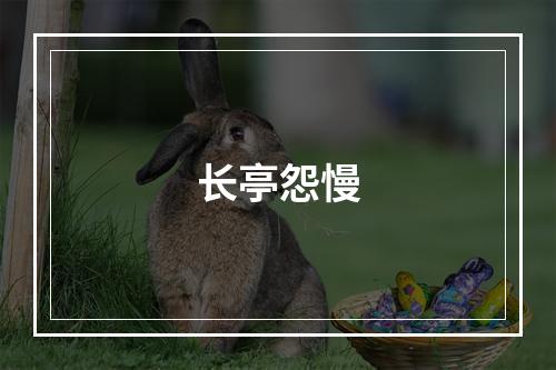 长亭怨慢
