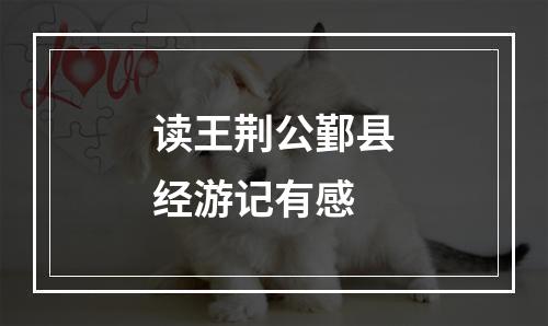 读王荆公鄞县经游记有感
