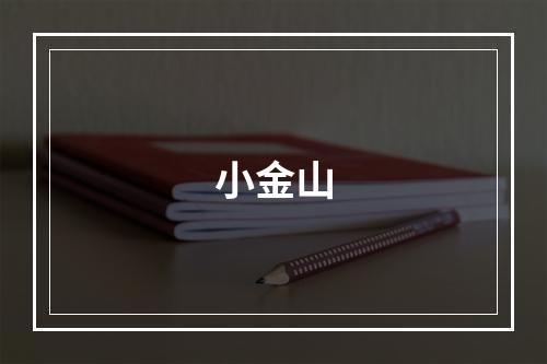 小金山