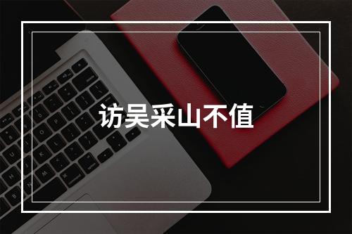 访吴采山不值