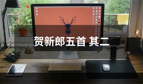 贺新郎五首 其二
