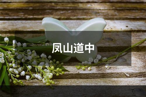 凤山道中