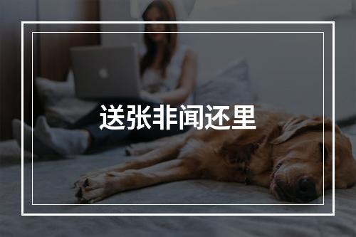 送张非闻还里