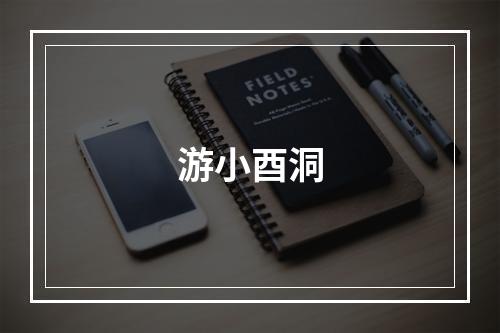 游小酉洞