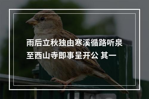 雨后立秋独由寒溪循路听泉至西山寺即事呈开公 其一