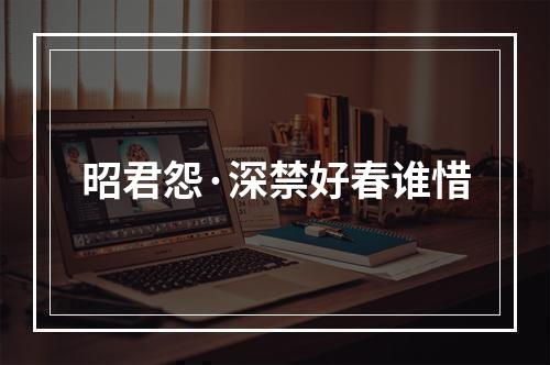 昭君怨·深禁好春谁惜